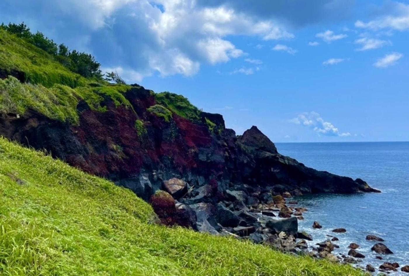 Mihamakan, Izu Oshima - Vacation Stay 89849V Exterior photo